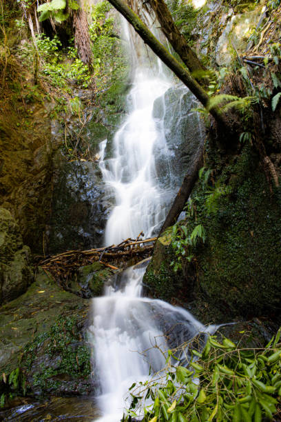 istock Small waterfall with long exposure to give it a blurred water effect 1413331646