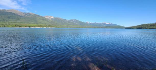 istock Photos from Yellowstone and Glacier National Parks 1413337719