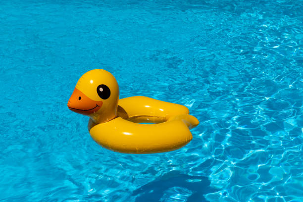 istock Floating Duck Toy in Pool Water 1413342301