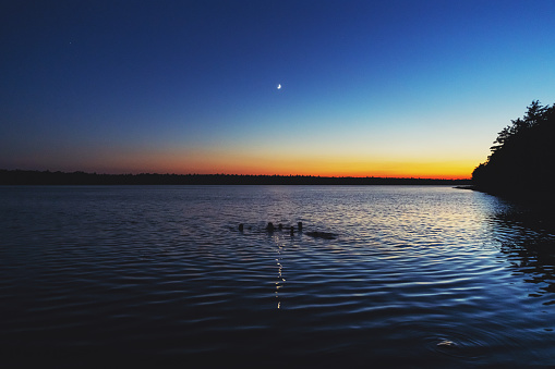 A group of friends swim beneath the crescent moon at dusk.