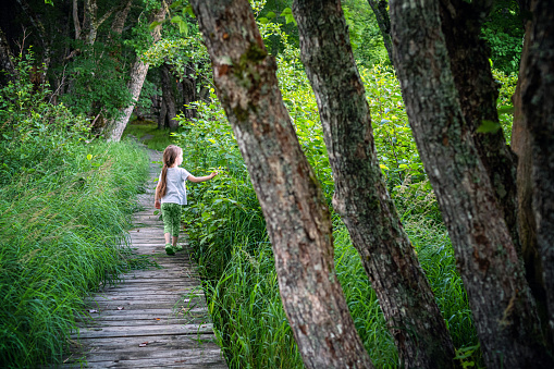 A girl looks at bushes along a trail in a National Park.