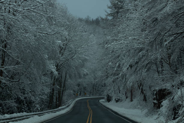 冬の雪が並ぶ田舎道 - drivers point of view country road snowing blizzard ストックフォトと画像