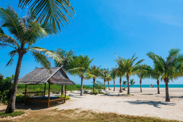 istock Relax cabin surrounding with coconut trees on Cha Am beach 1413353642