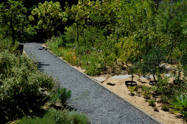 istock slate surface stones stacked in a row into the sand. a path through the park between bushes in a succulent and desert oasis. tourist hotel gardens for visitors subtropical flora in the botanical park 1413359002