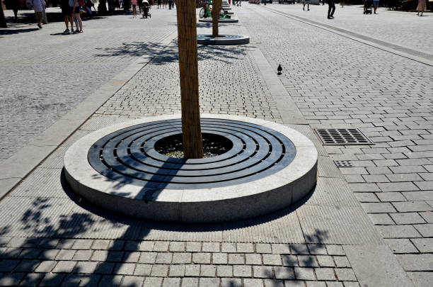 istock square-shaped lattice, with a circular hole for a tree trunk that is in the middle of a cobbled square, or on a loft. steel mat with trunk in golden section, ornamental  park, asphalt, sewage 1413361700