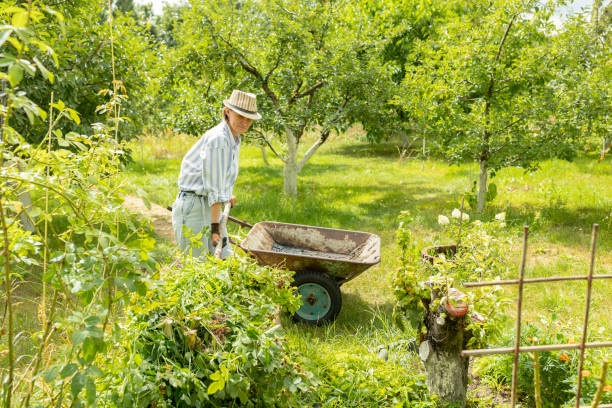 donna contadina che carica carriola da giardino con forchetta. - pleasance foto e immagini stock