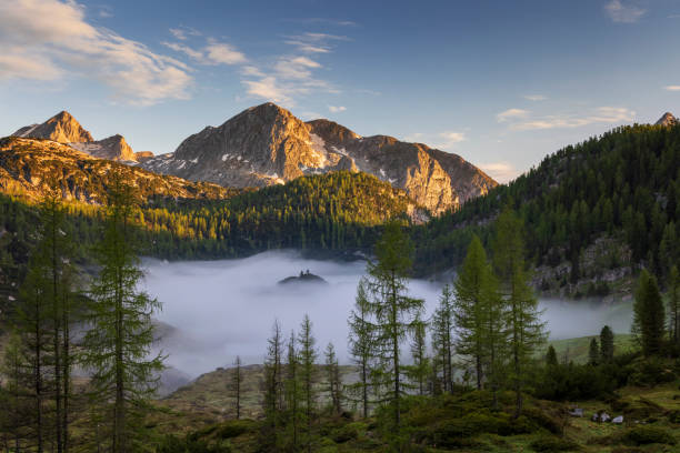 alba sul nebbioso lago di funtensee, nationalpark berchtesgaden - koenigsee foto e immagini stock