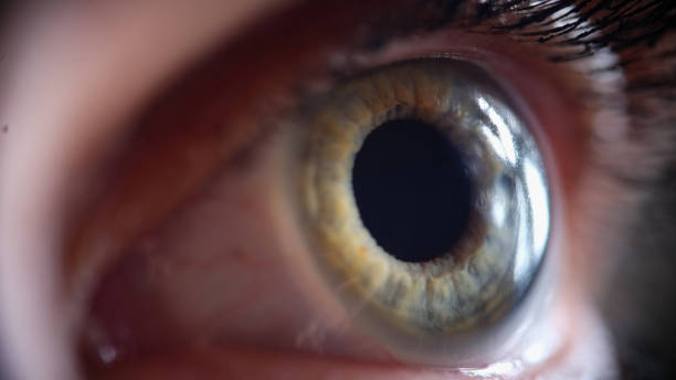 istock Female charming green and blue eye with eyelashes 1413372860
