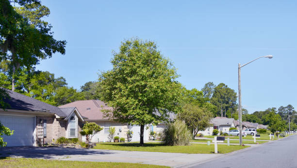 istock Savannah Neighborhood. 1413386660