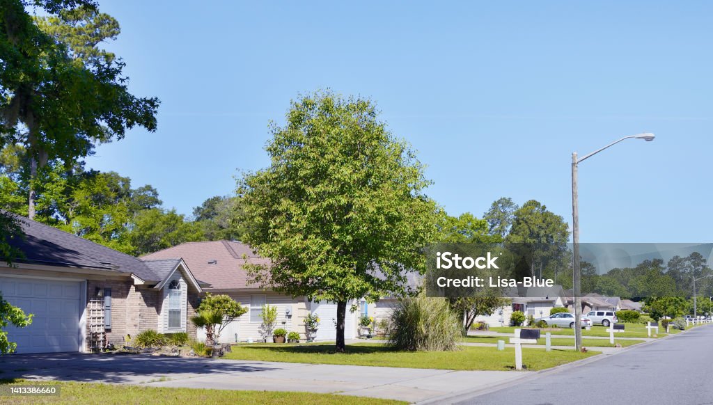 Savannah Neighborhood. A row of newly built upscale luxury homes on a well landscaped street in Savannah, Georgia, USA. Architecture Stock Photo