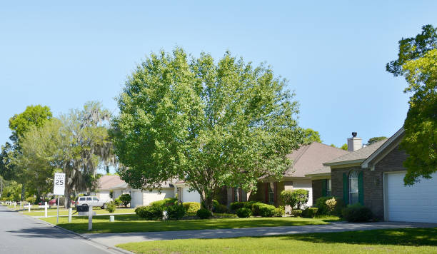 istock Savannah Neighborhood. 1413386673