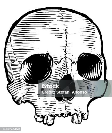 istock Vector drawing of  skull 1413392350
