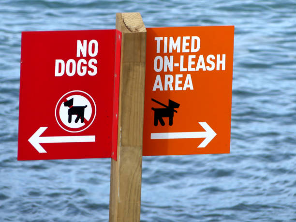 istock Dog leash area signs 1413395237