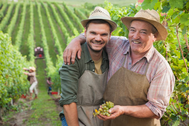 istock Senior vintner teaching his son about grapes 1413395242