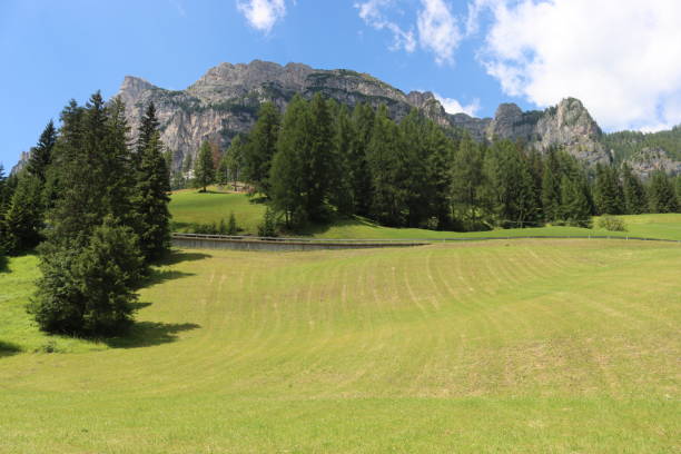istock Travelling around the Dolomites by summer days 1413395428