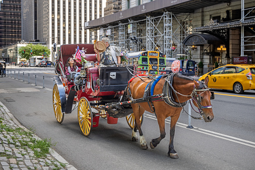 Central Park, Manhattan, New York, NY, USA - June 29, 2022: Single horse carriage taking tourists round in Central Park