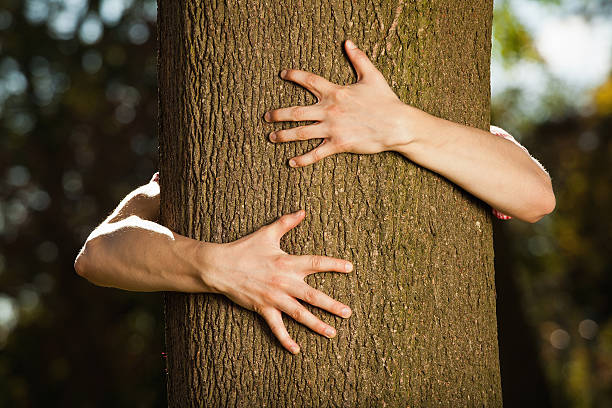 Teenage boy hugging tree in park  hugging tree stock pictures, royalty-free photos & images