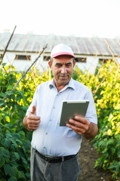 istock senior man checking tablet products in bean garden 1413400478