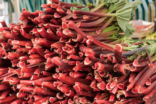 red rhubarb stalks laid out for sale at a market stall