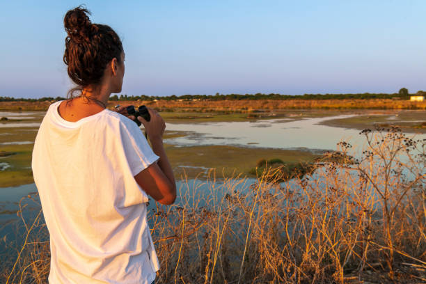 istock Middle aged woman birdwatching with binoculars 1413409110