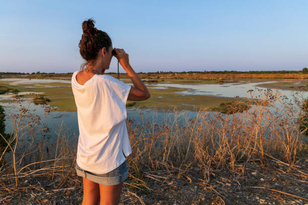 istock Middle aged woman birdwatching with binoculars 1413409115
