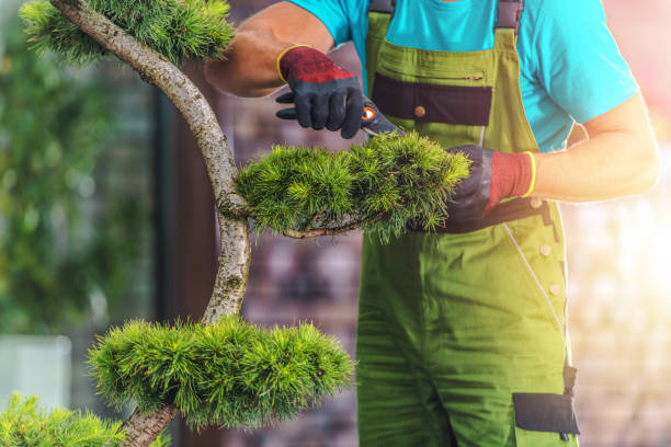 istock Landscaper Pruning the Plant 1413409267