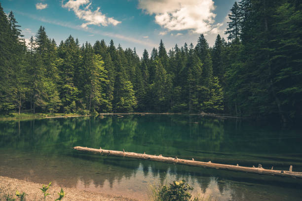 Scenic Turquoise Alpine Bodensee Lake in Southern Austria. European Natural Wonders.