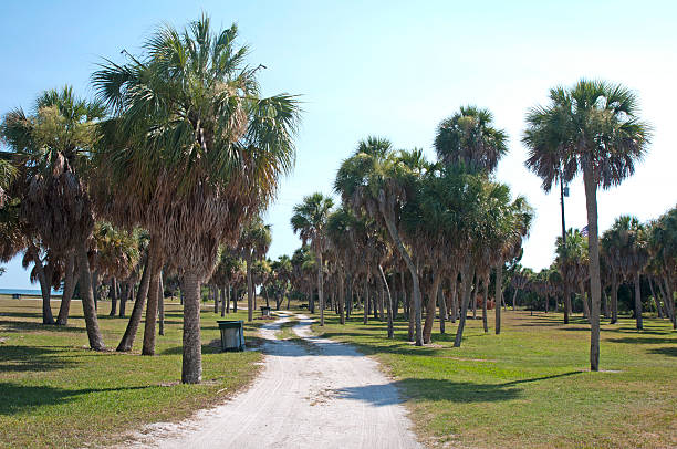 istock Sand road to the beach 141341073