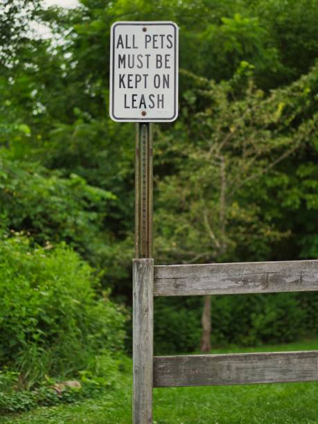 istock All Pets Must Be On A Leash Sign 1413411107