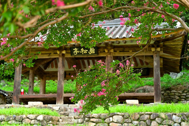 Old House and Barron Blossom Tree VD702