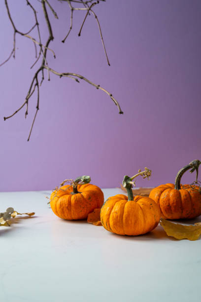 istock Three orange pumpkins on a purple Halloween background 1413415036