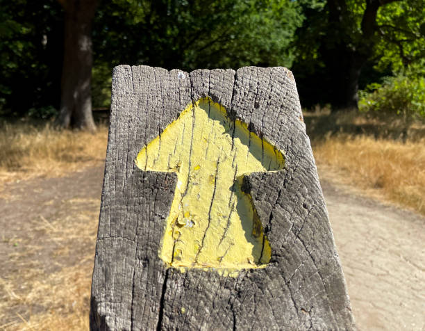 Arrow sign in forest