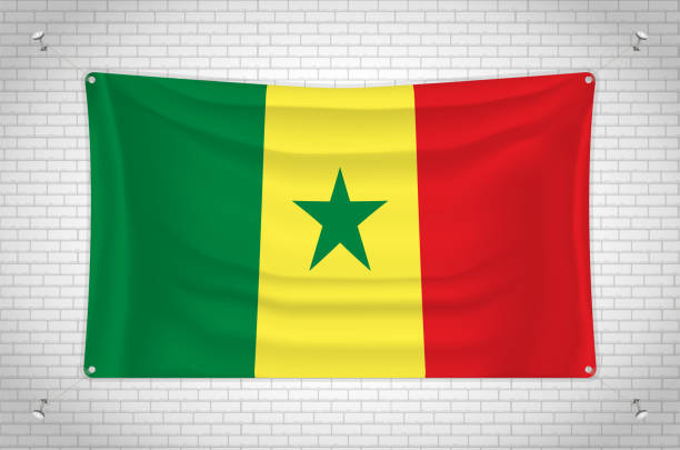 флаг сенегала висит на кирпичной стене. - senegal africa vector illustration and painting stock illustrations