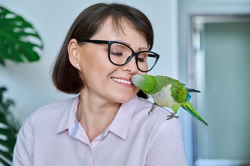 Middle aged woman at home with a pet parrot on her shoulder. Female owner talking to a bird, kissing a green Quaker parrot. Exotic birds, pets, friendship, care, love concept