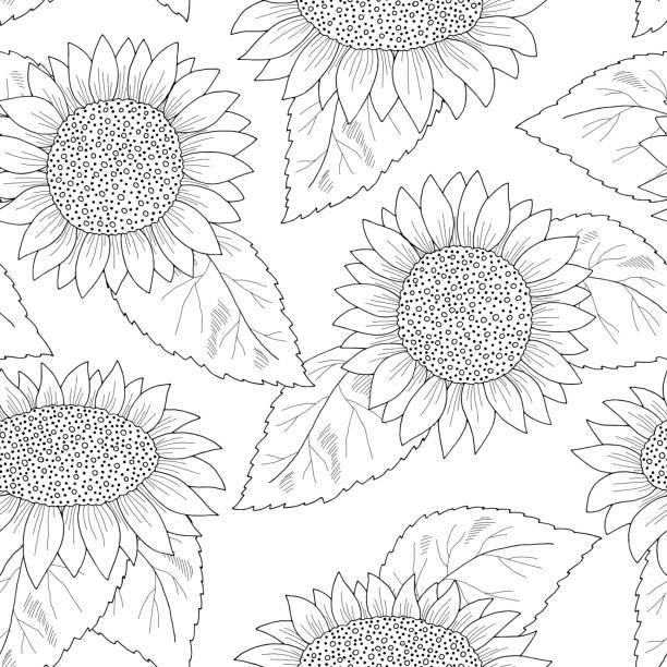 Seamless Outlined Cartoon Sunflower Background Illustrations, Royalty-Free Vector Graphics & Clip Art - iStock Seamless Outlined Cartoon Sunflower Background Illustrations, Royalty-Free Vector Graphics & Clip Art - iStock