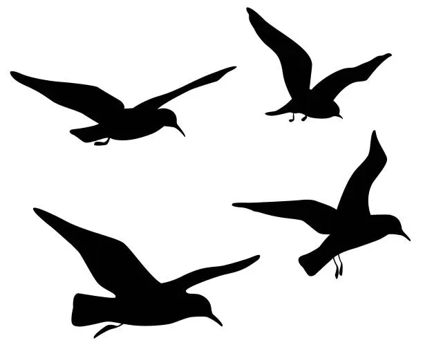 Vector illustration of flying birds silhouettes
