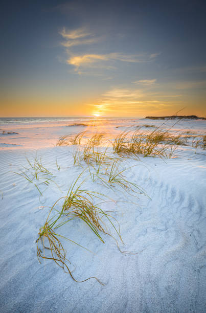 걸프 제도 국립 해안에서의 일몰 - sand beach sand dune sea oat grass 뉴스 사진 이미지