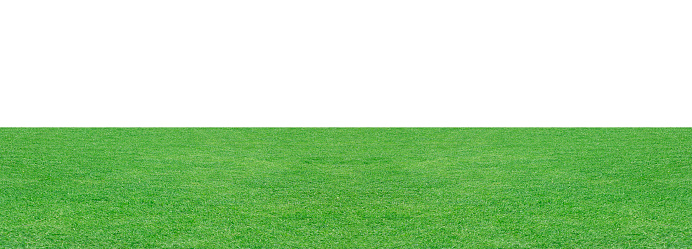 Green grass field isolated on white background, for montage product display. with clipping path