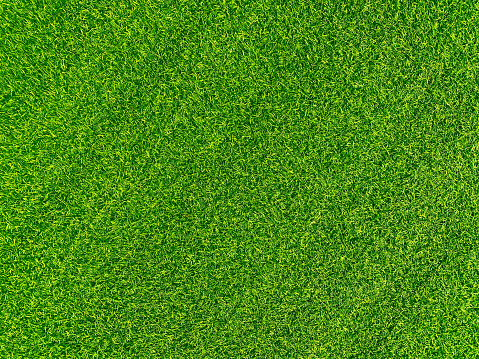 Green grass texture background grass garden concept used for making green background football pitch, Grass Golf, green lawn pattern textured background.
