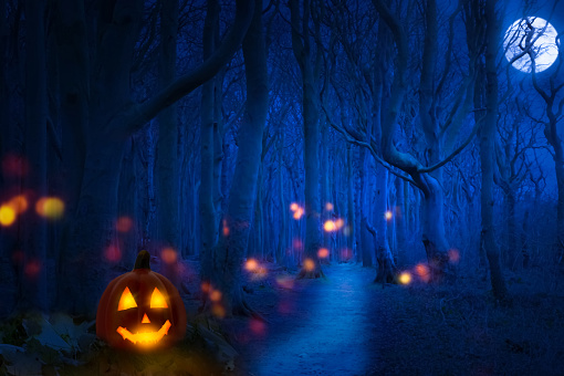 haunted forest at blue moon halloween night, jack o lantern with spooky lights like specters between knobby trees, invitation card concept with copy space