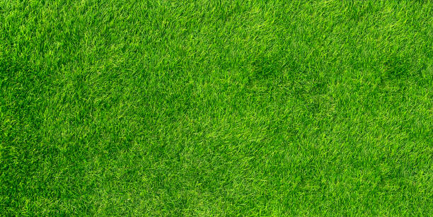 concetto di giardino di erba di sfondo di erba verde utilizzato per realizzare un campo da calcio con sfondo verde, grass golf, sfondo strutturato con motivo a prato verde. - in buona condizione foto e immagini stock