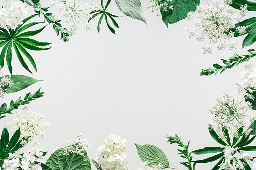Assorted floral and jungle tree green leaves and white flowers frame border Natural sustainable environment friendly cosmetics mockup concept flat lay with copy space