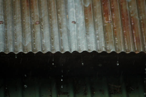 galvanized roof and rain