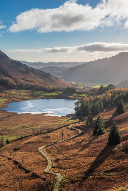 beautiful vibrant autumn landscape image looking from pike o'blisco towards blea tarn with beautiful sungiht on mountains and valley - bowfell imagens e fotografias de stock