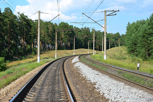 railway in the forest with electric columns along it
