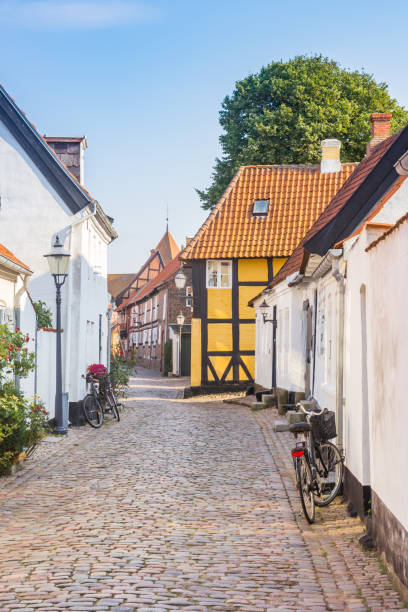 Bicycle in a cobblestoned street in the historic city of Ribe Bicycle in a cobblestoned street in the historic city of Ribe, Denmark ribe town photos stock pictures, royalty-free photos & images