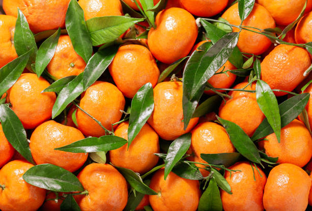 istock Mandarin oranges fruit or tangerines as background 1413435433