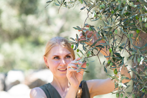 Young Woman Picking Green Olives