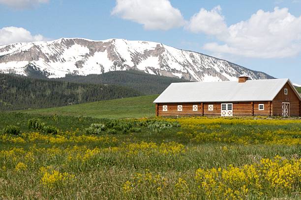 Barn in Aspen Colorado stock photo