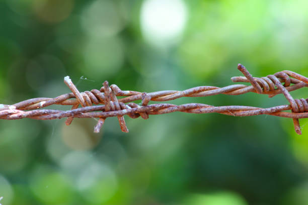 selected focus - Rusted fance wire along with green background and bokeh effects